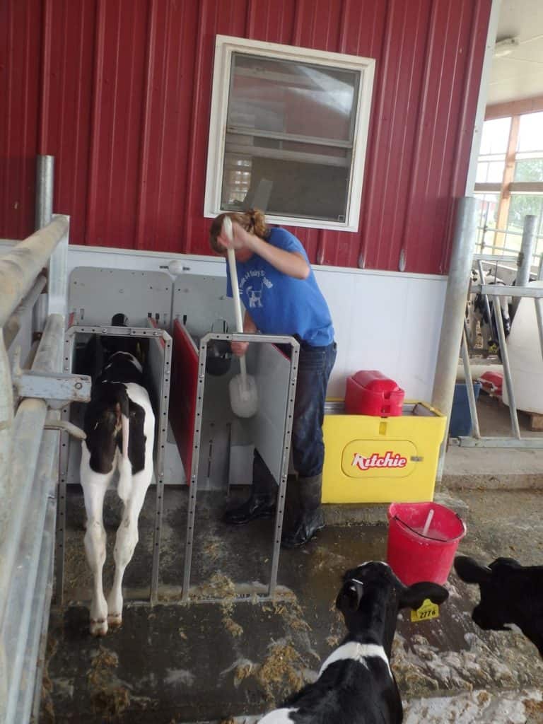 Manual cleaning of the feeder stall with detergent and hot water rinse is strongly recommended.