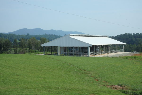 Modern Calf Barn